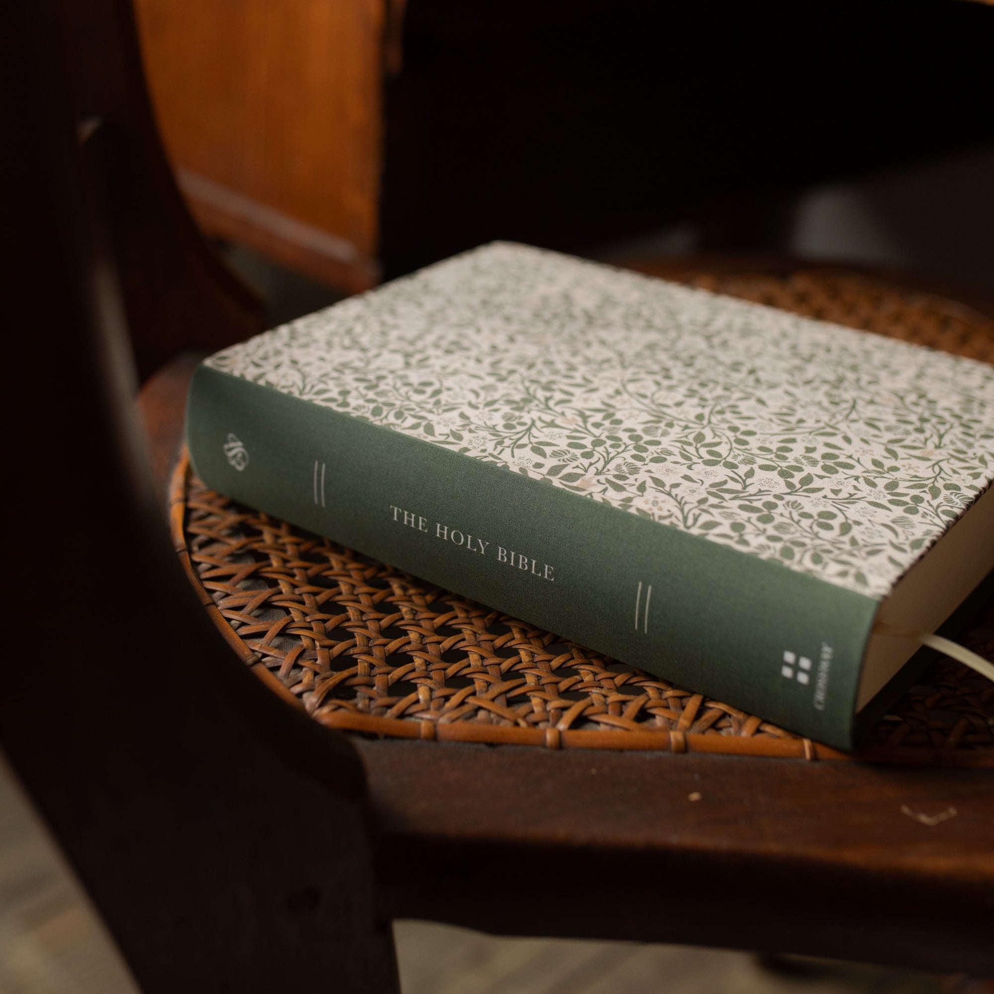 ESV Journaling Bible | Clover | TDGC – The Daily Grace Co.