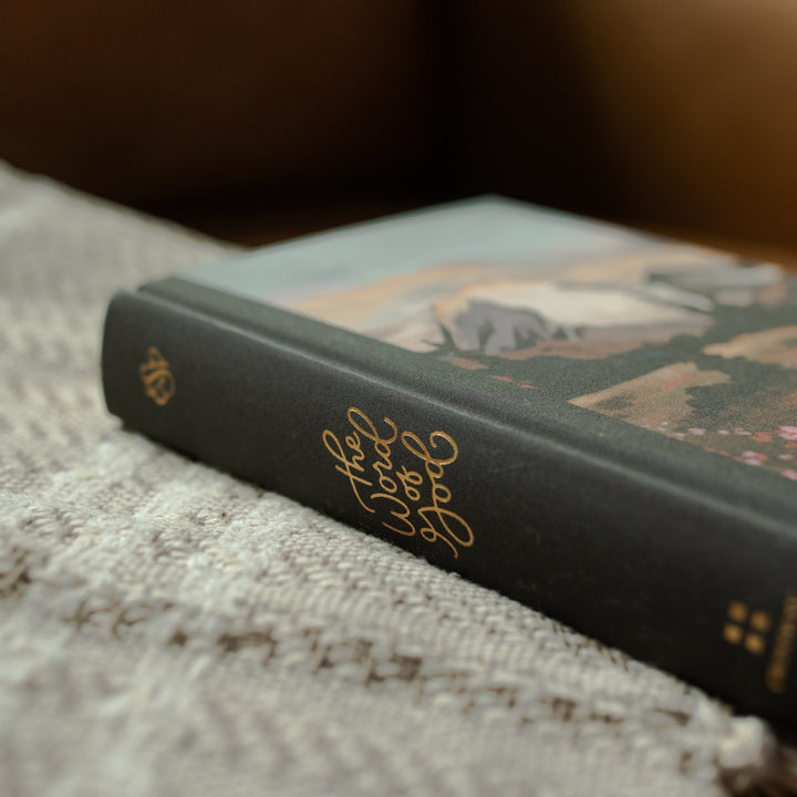 ESV Journaling Mountain Bible spine on a blanket