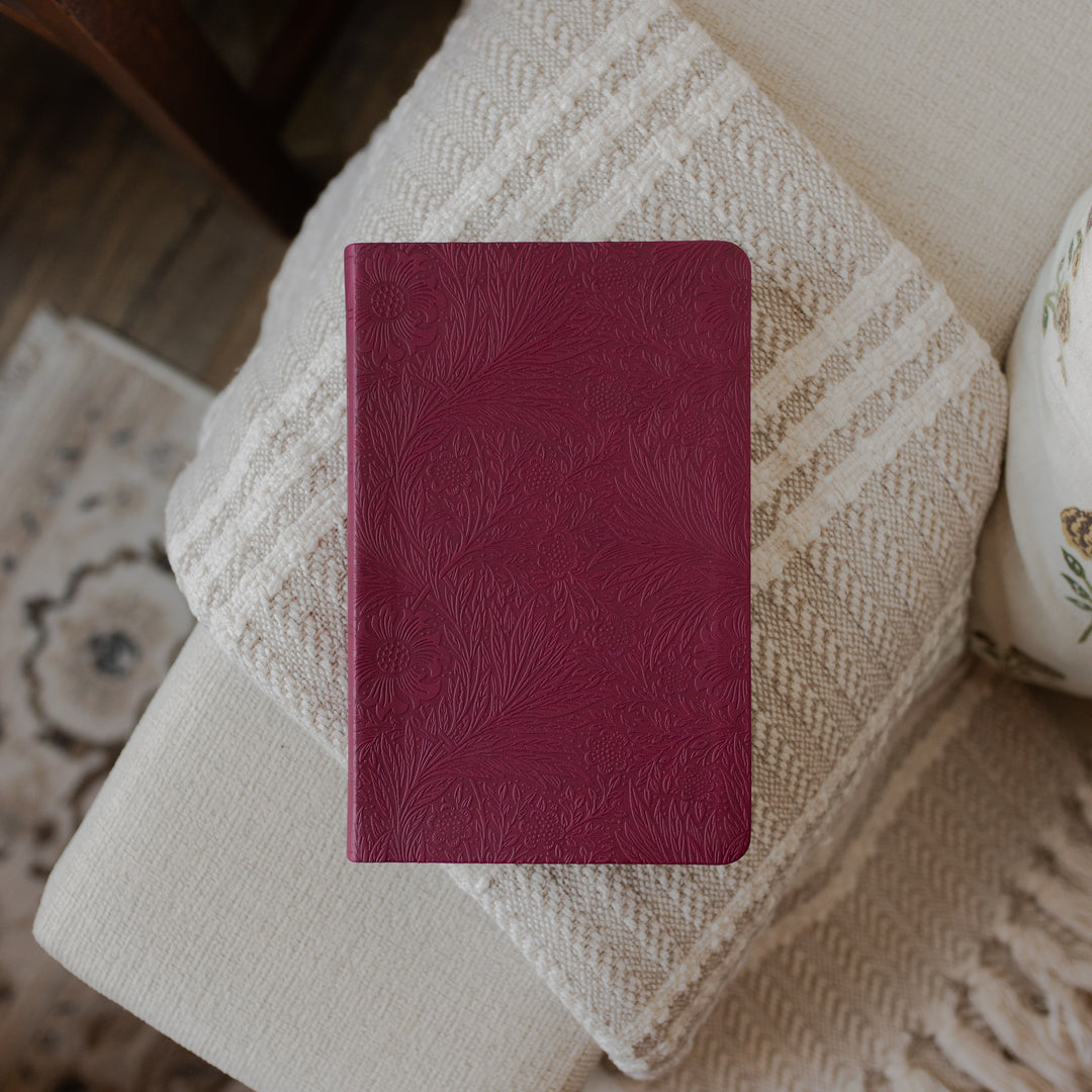 The ESV Large Print Raspberry Bible on a blanket on the arm of a couch