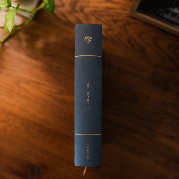 Blue ESV Bible spine with gold design