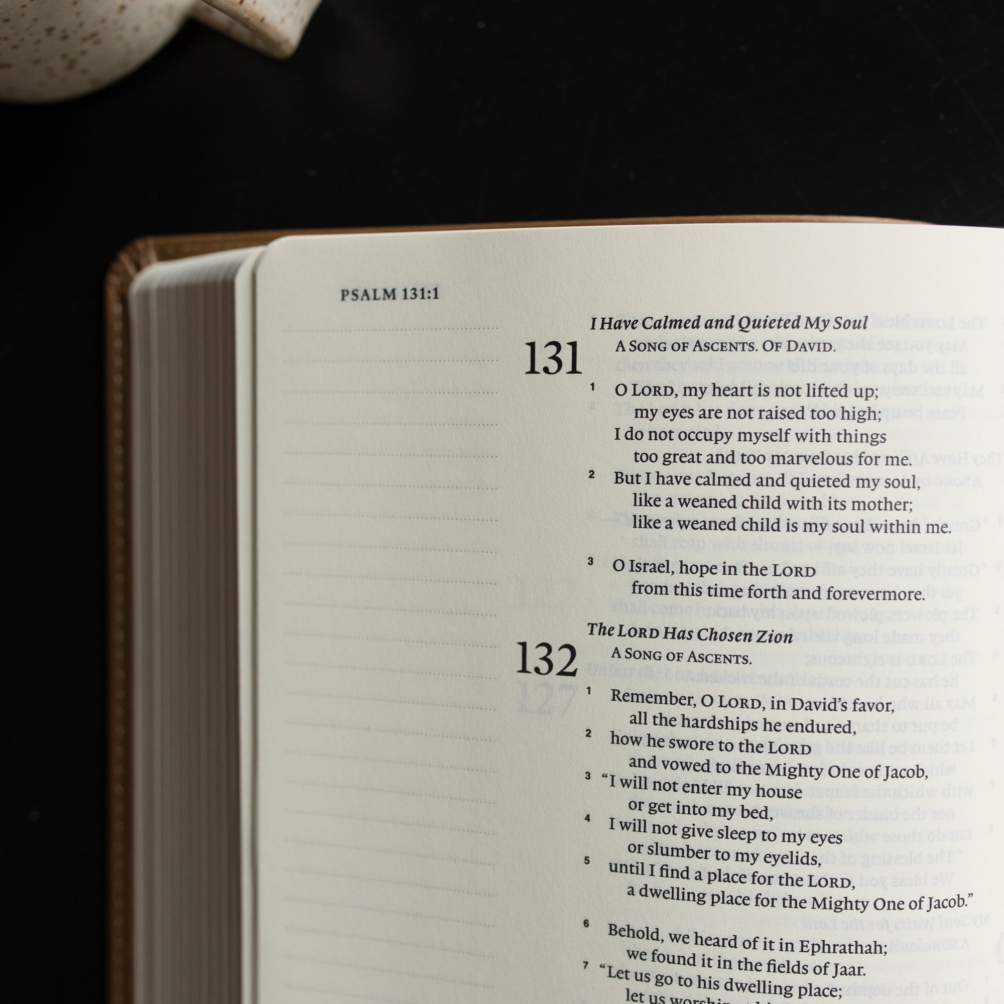 ESV Single Column Journaling Bible | Rooted | TDGC – The Daily
