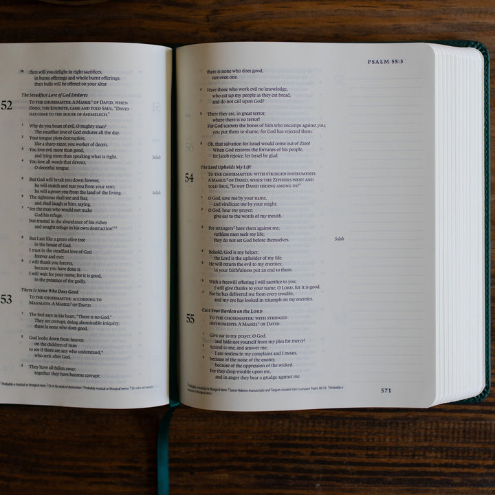 ESV Single Column Journaling Bible opened on a table