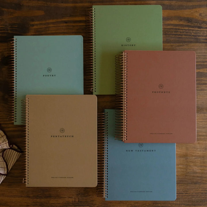 Five Bibles on a table