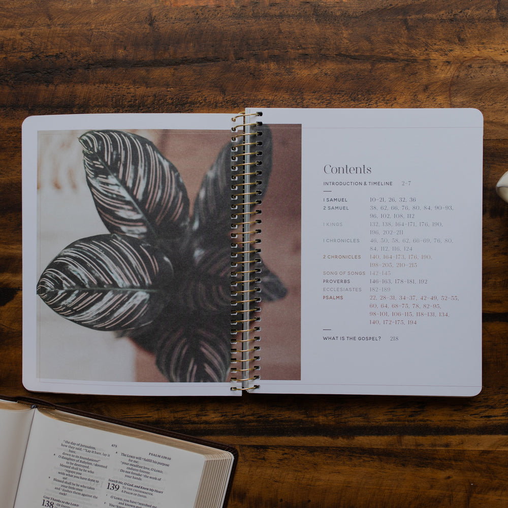 Eden to Eternity Spiral opened to the table of contents on a wooden table next to an open bible