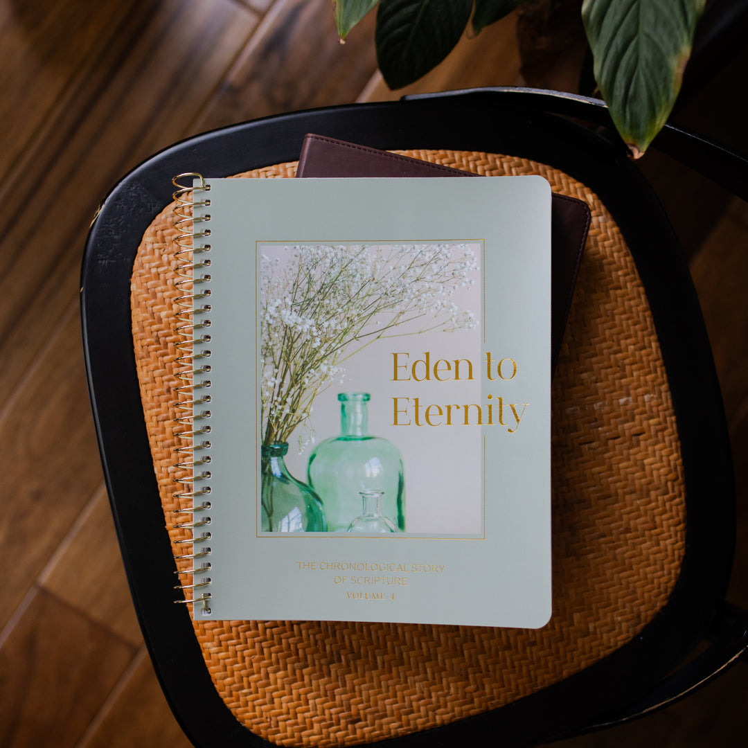 Eden to Eternity Volume 4 Spiral cover on a leather book and a woven chair