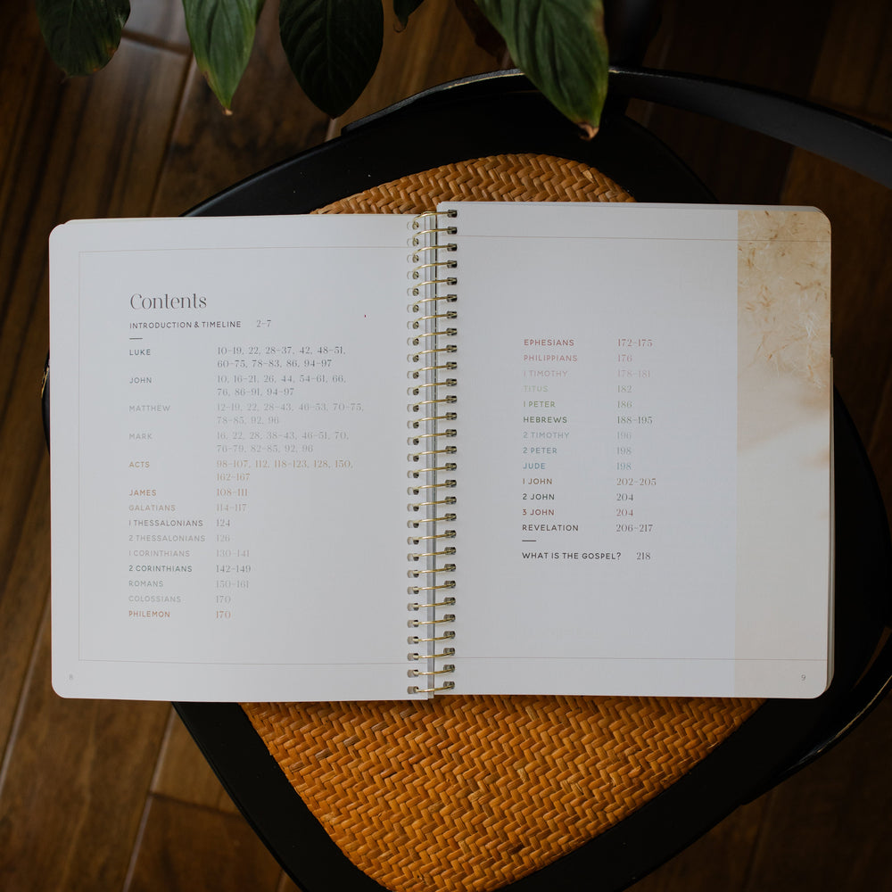 Eden to Eternity Volume 4 opened to the contents page on a woven chair