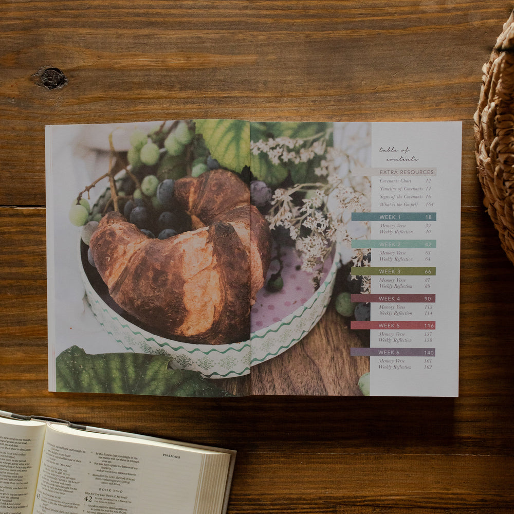 Faithful Matte study opened to the table of contents on a wooden table next to an open bible