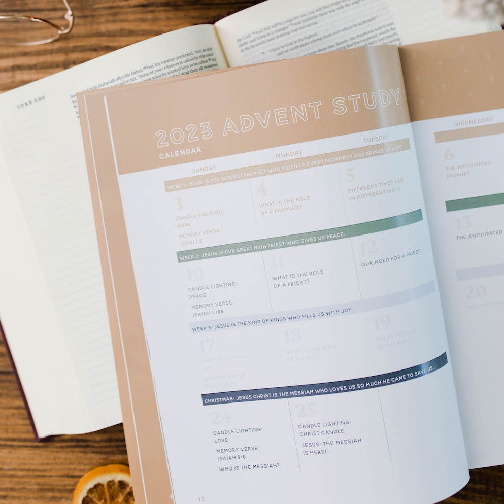 Slightly Imperfect - Good News, Great Joy - A Advent Study on the Power and Perfection of Jesus - Men