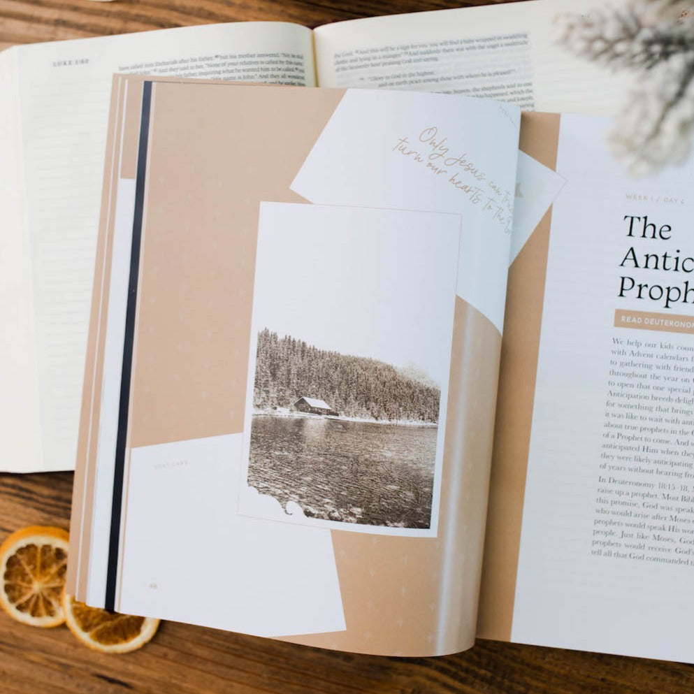 Slightly Imperfect - Good News, Great Joy - A Advent Study on the Power and Perfection of Jesus - Men