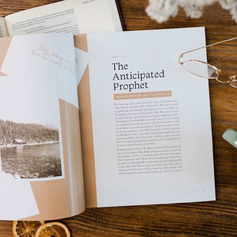 Slightly Imperfect - Good News, Great Joy - A Advent Study on the Power and Perfection of Jesus - Men