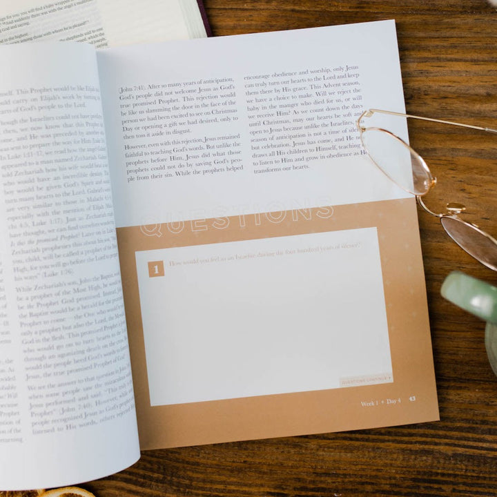 Slightly Imperfect - Good News, Great Joy - A Advent Study on the Power and Perfection of Jesus - Men