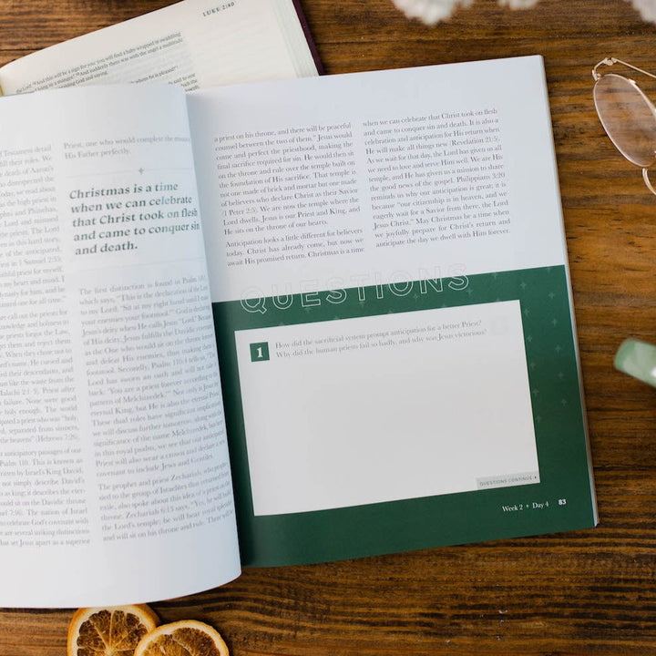 Slightly Imperfect - Good News, Great Joy - A Advent Study on the Power and Perfection of Jesus - Men