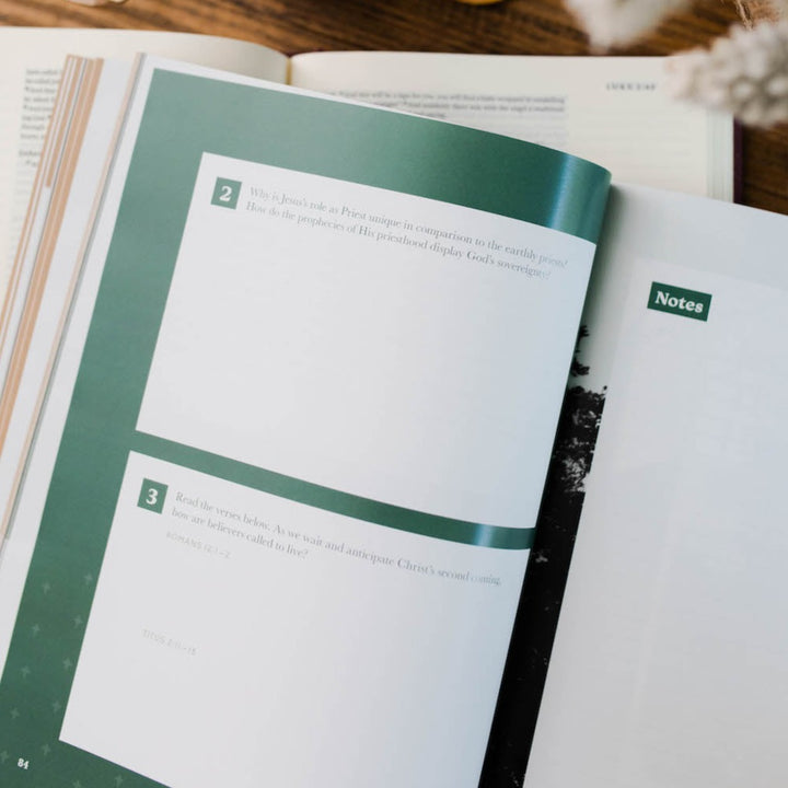 Slightly Imperfect - Good News, Great Joy - A Advent Study on the Power and Perfection of Jesus - Men