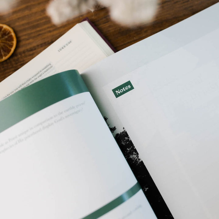 Slightly Imperfect - Good News, Great Joy - A Advent Study on the Power and Perfection of Jesus - Men