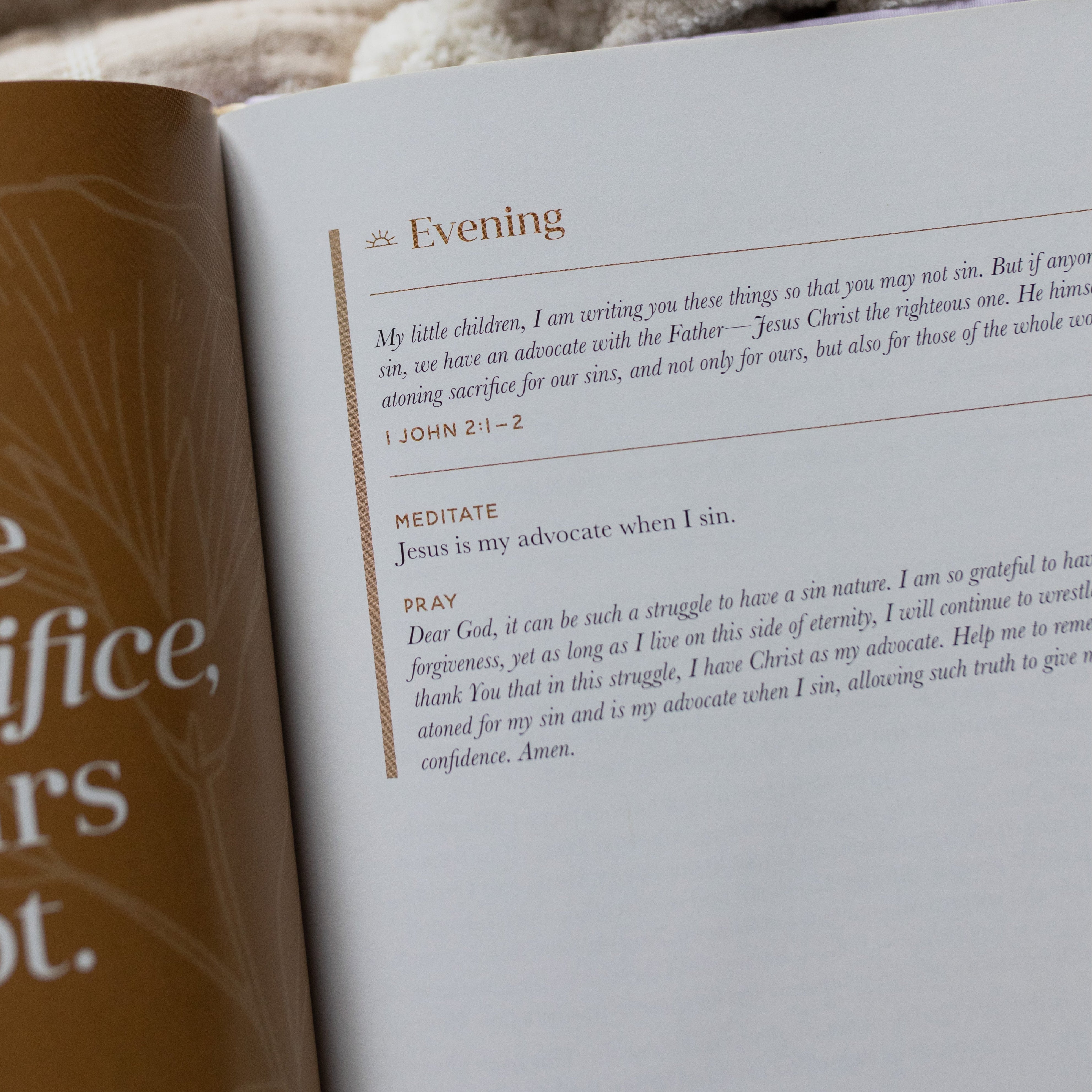 Grace From Day To Night Devotional | TDGC – The Daily Grace Co.