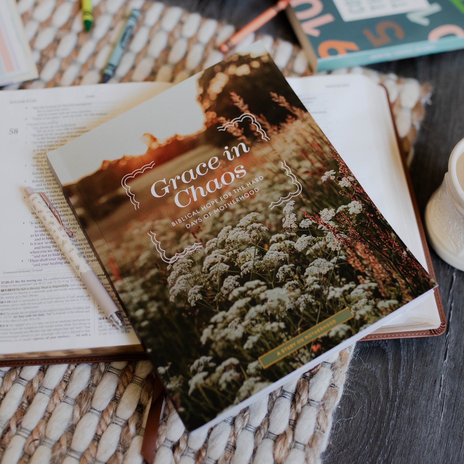 Grace in Chaos | Biblical Hope for the Hard Days of Motherhood | The Daily Grace Co.