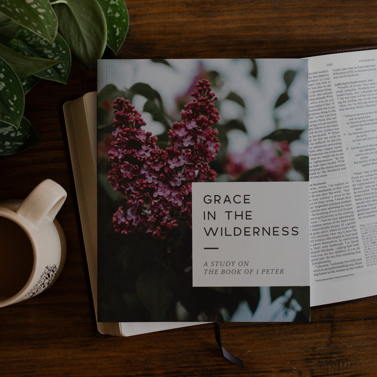 Grace in the Wilderness | 1 Peter Bible Study