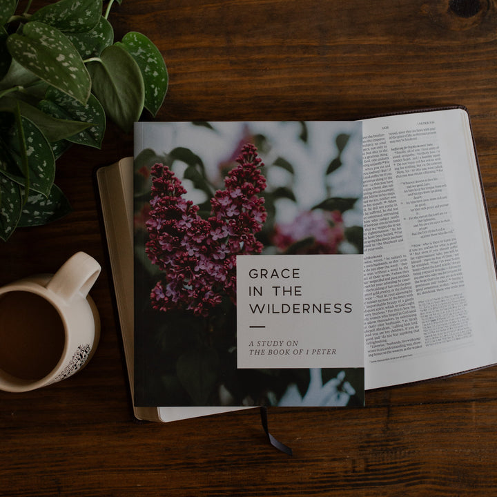 Grace in the Wilderness cover