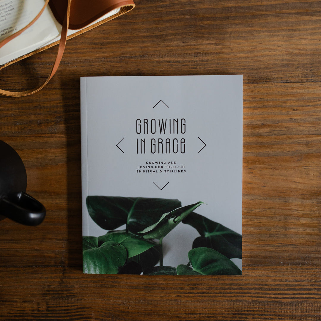 Growing in Grace Mens Study Cover