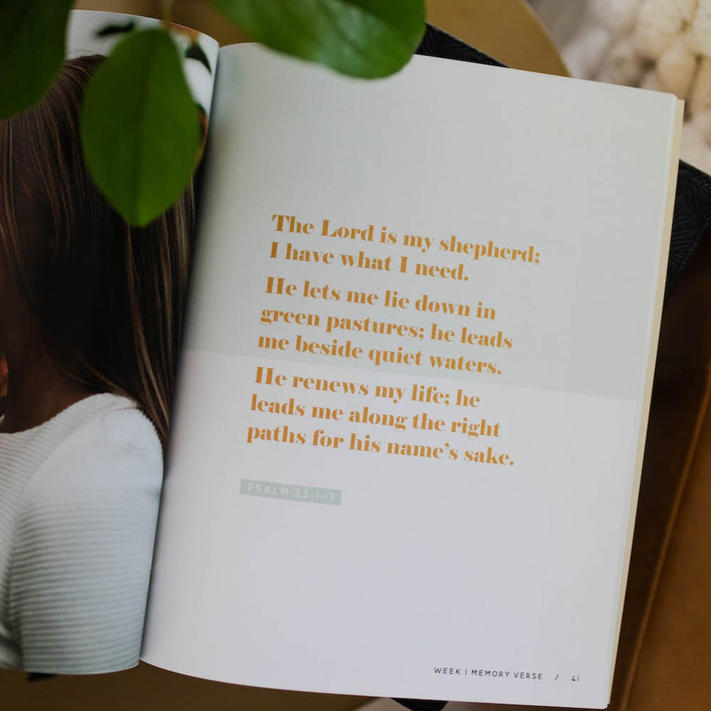 He Leads Me | Psalm 23 | The Daily Grace Co.