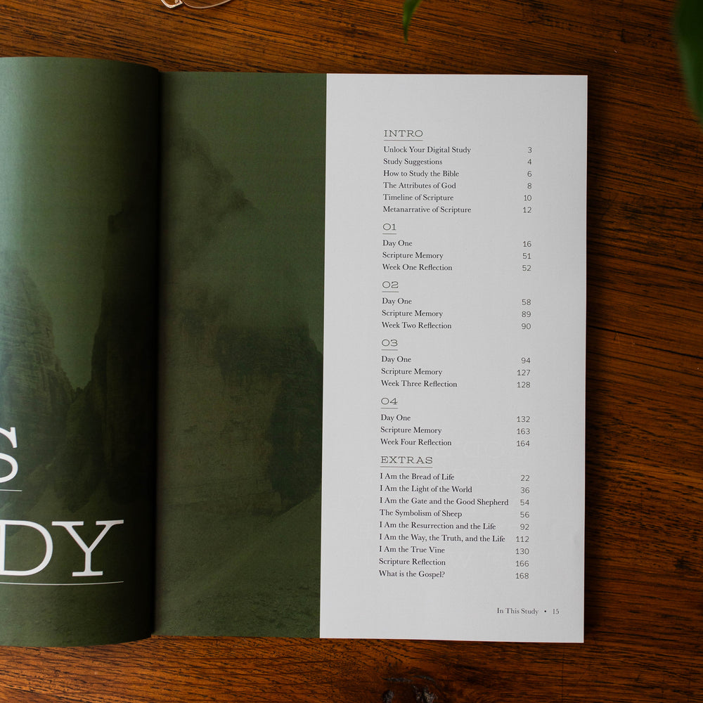 I am Statements of Jesus Bible Study for Christian Men  