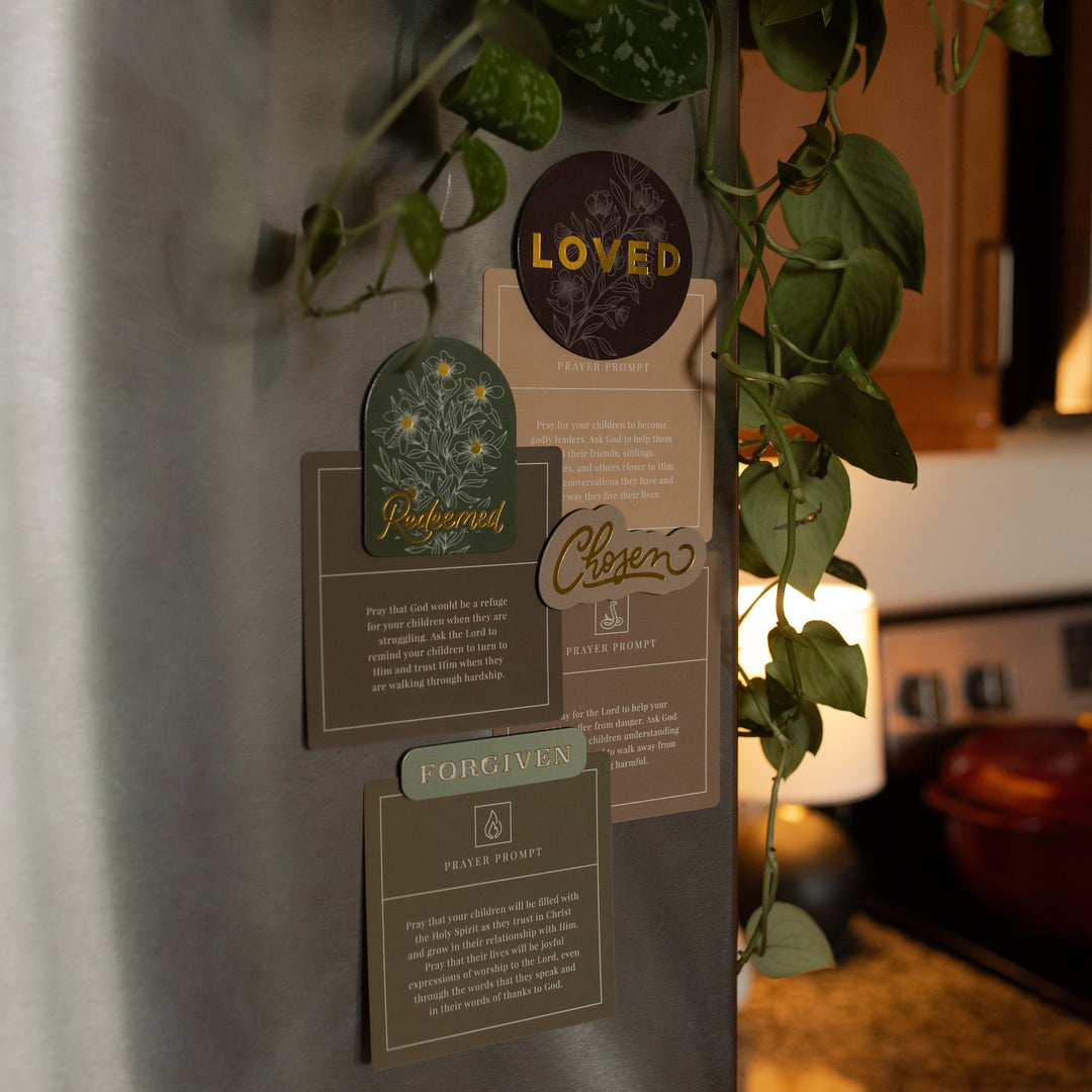 All of the Identity Magnets holding verse cards on a refrigerator near a countertop and vinery