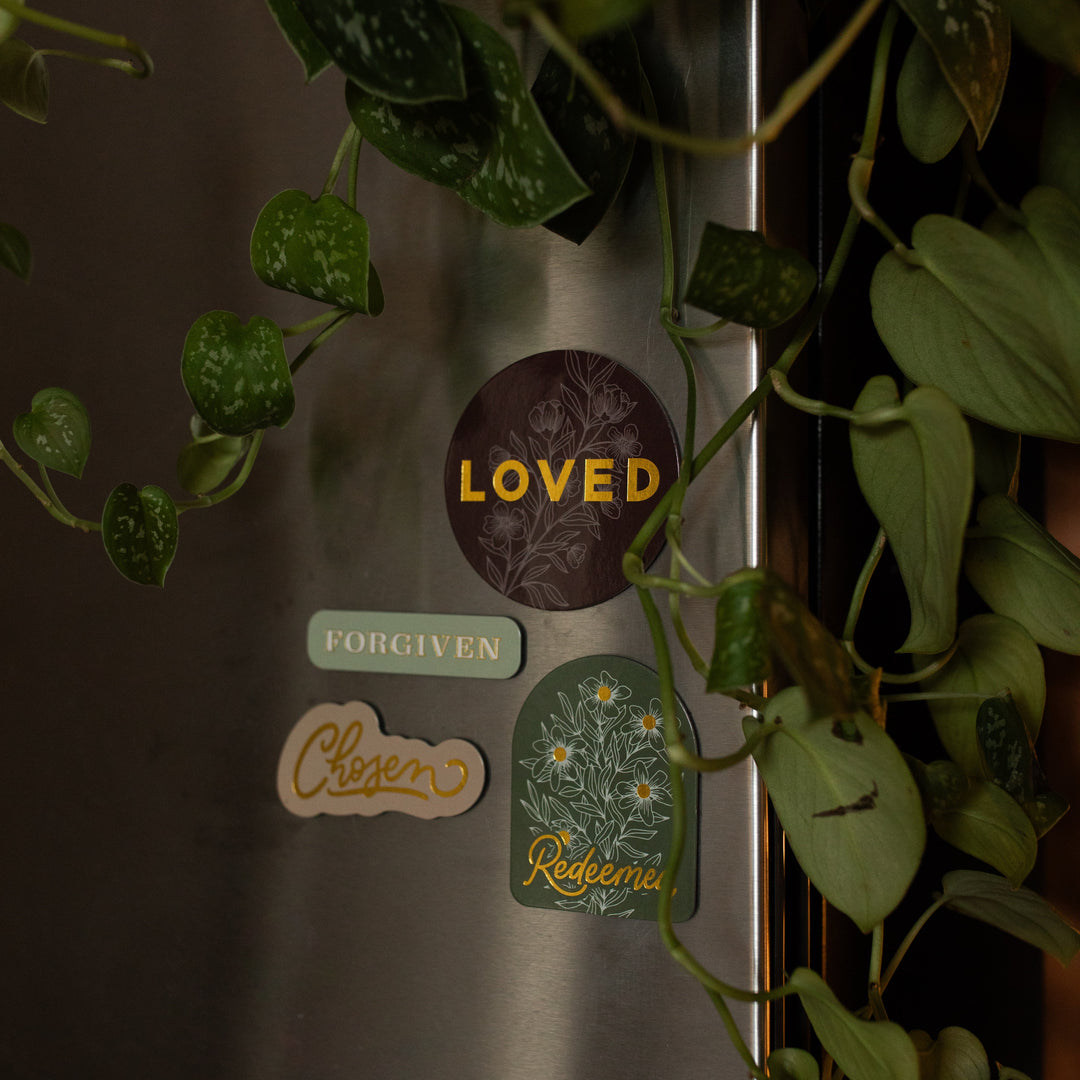 All of the Identity Magnets on a refrigerator near some vinery