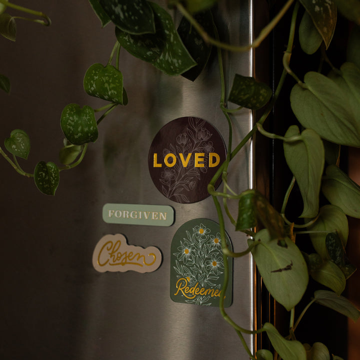 All of the Identity Magnets on a refrigerator near some vinery