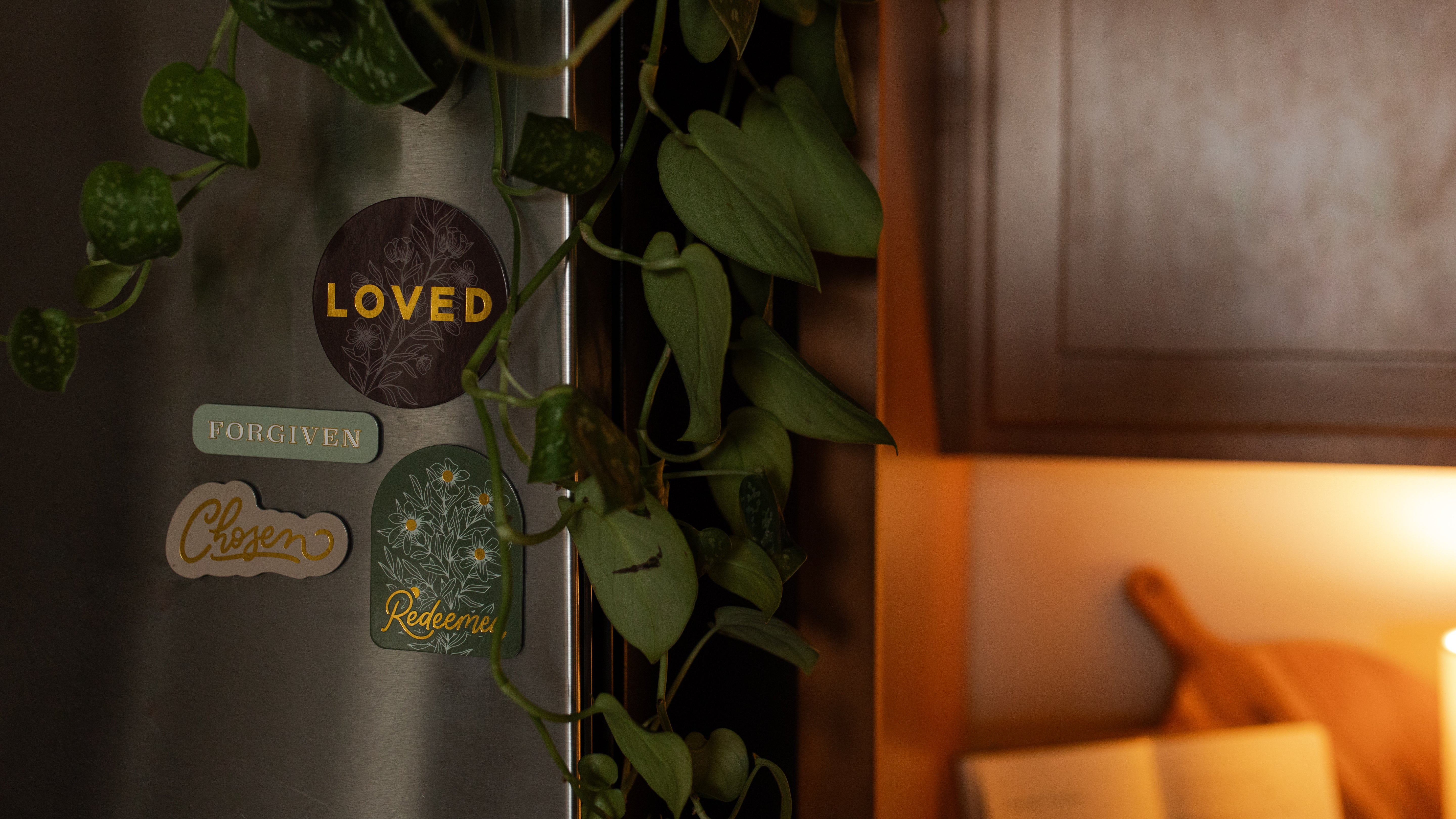 The Identity Magnet Set on a fridge with greenery hanging on the side
