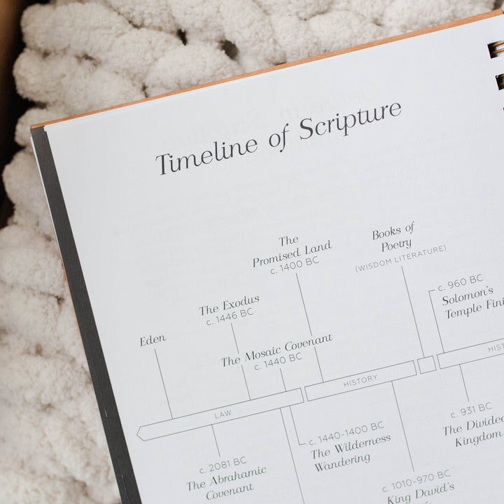 Bible Study Journal sample timeline of Scripture