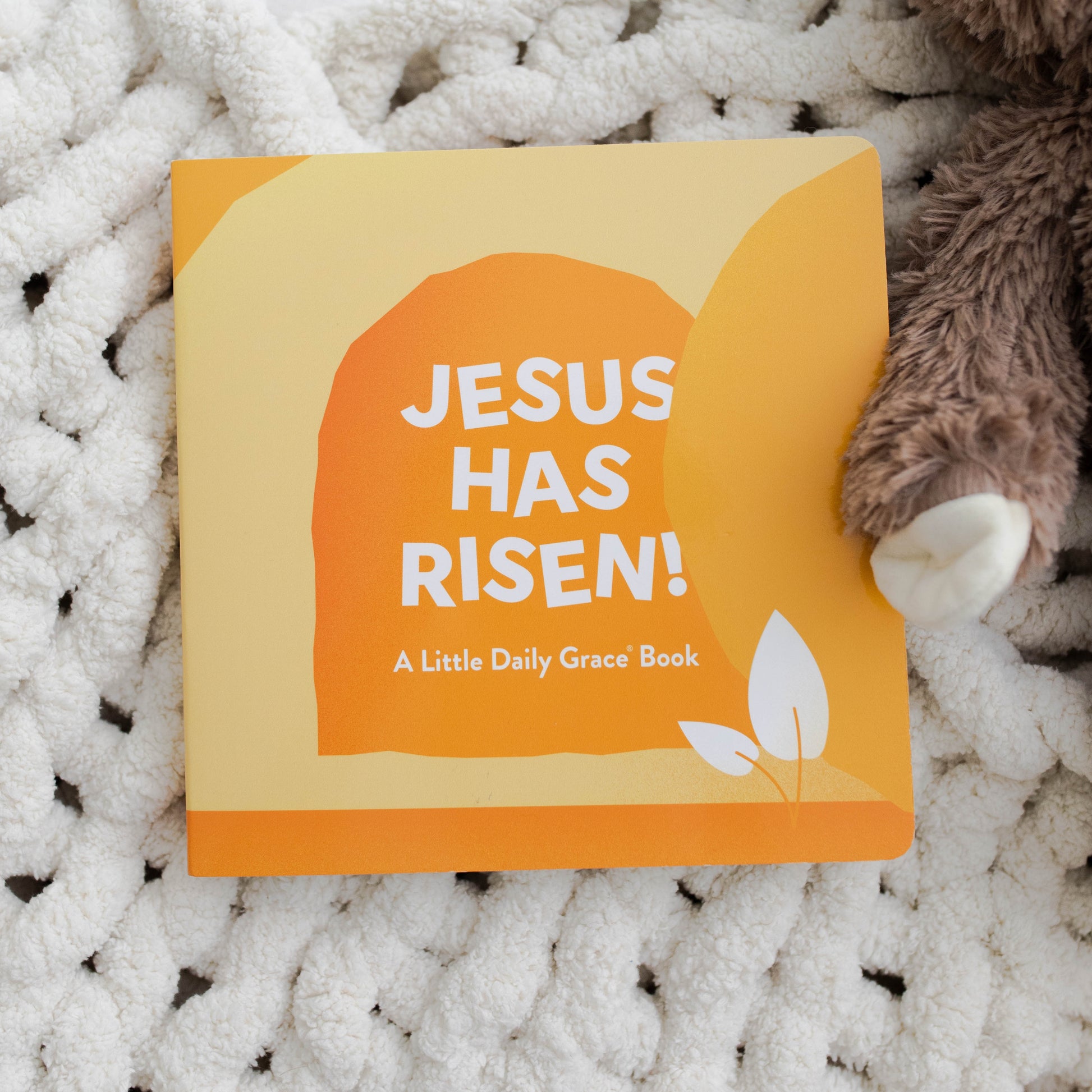 Jesus Has Risen Board Book |TDGC