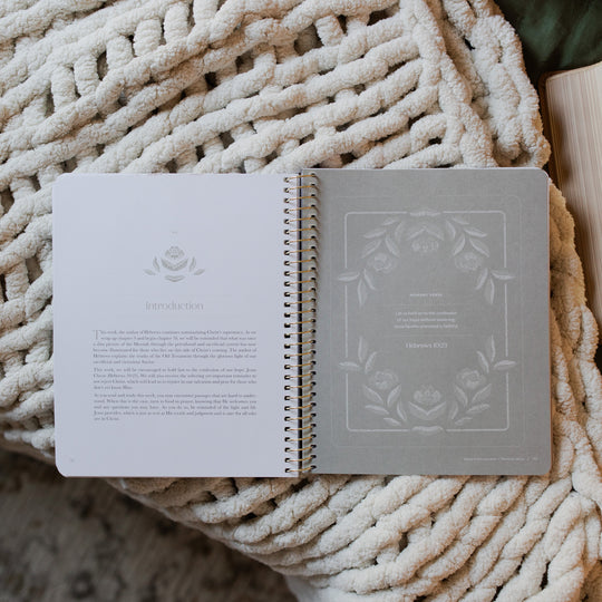Jesus is Better: A Hebrews Study | TDGC – The Daily Grace Co.