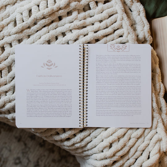 Jesus is Better: A Hebrews Study | TDGC – The Daily Grace Co.