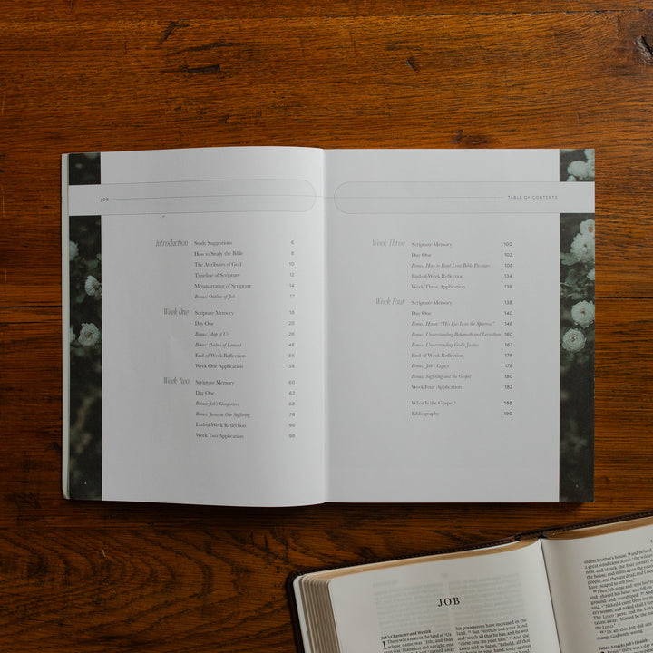 Job Softcover opened to the table of contents page on a wooden table