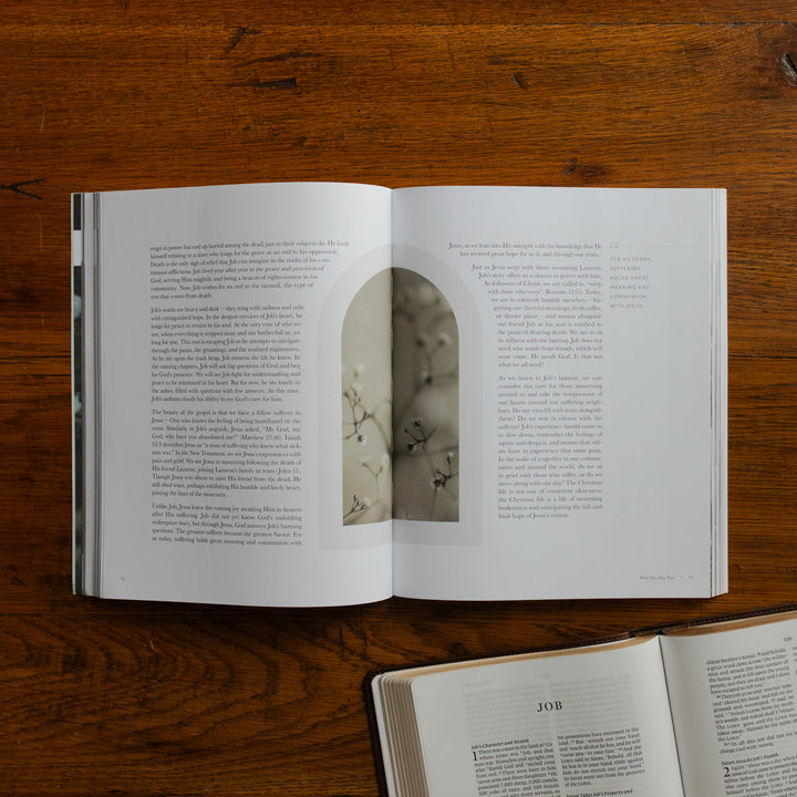 Job Softcover opened to a reading page with a graphic in the middle on a wooden table