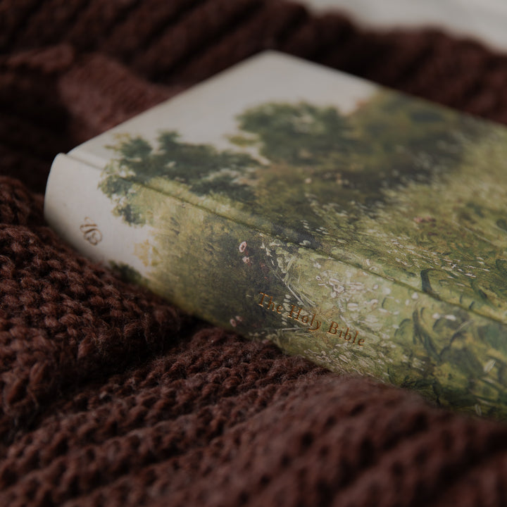 A close-up of a book with a green forest illustration on its cover, resting on a chunky brown knit blanket. The title 'The Holy Bible' is visible in gold lettering on the front cover.
