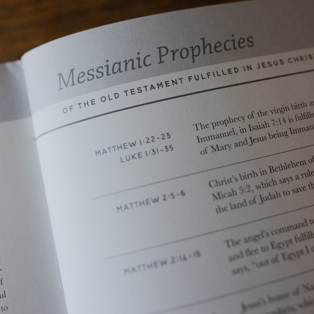 Messianic prophecies commentary in 40 days with Jesus men's bible study