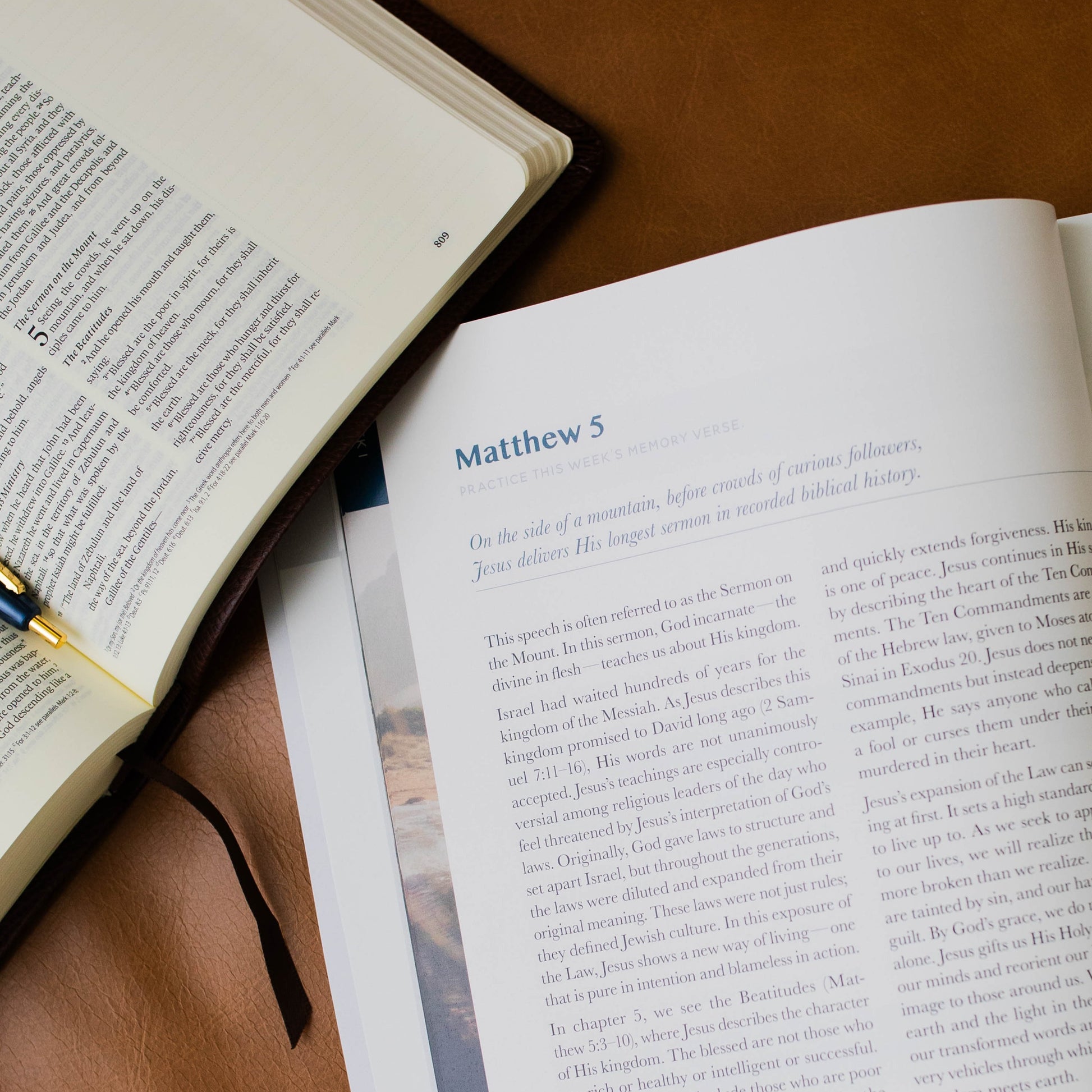 Behold: A Study of the New Testament | Volume 1 | Matthew - Luke - Men | TDGC