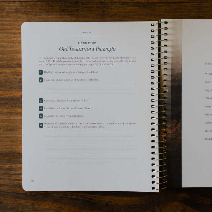 Old Testament verse mapping direction for men's Bible study Christ in All of Scripture Volume 1