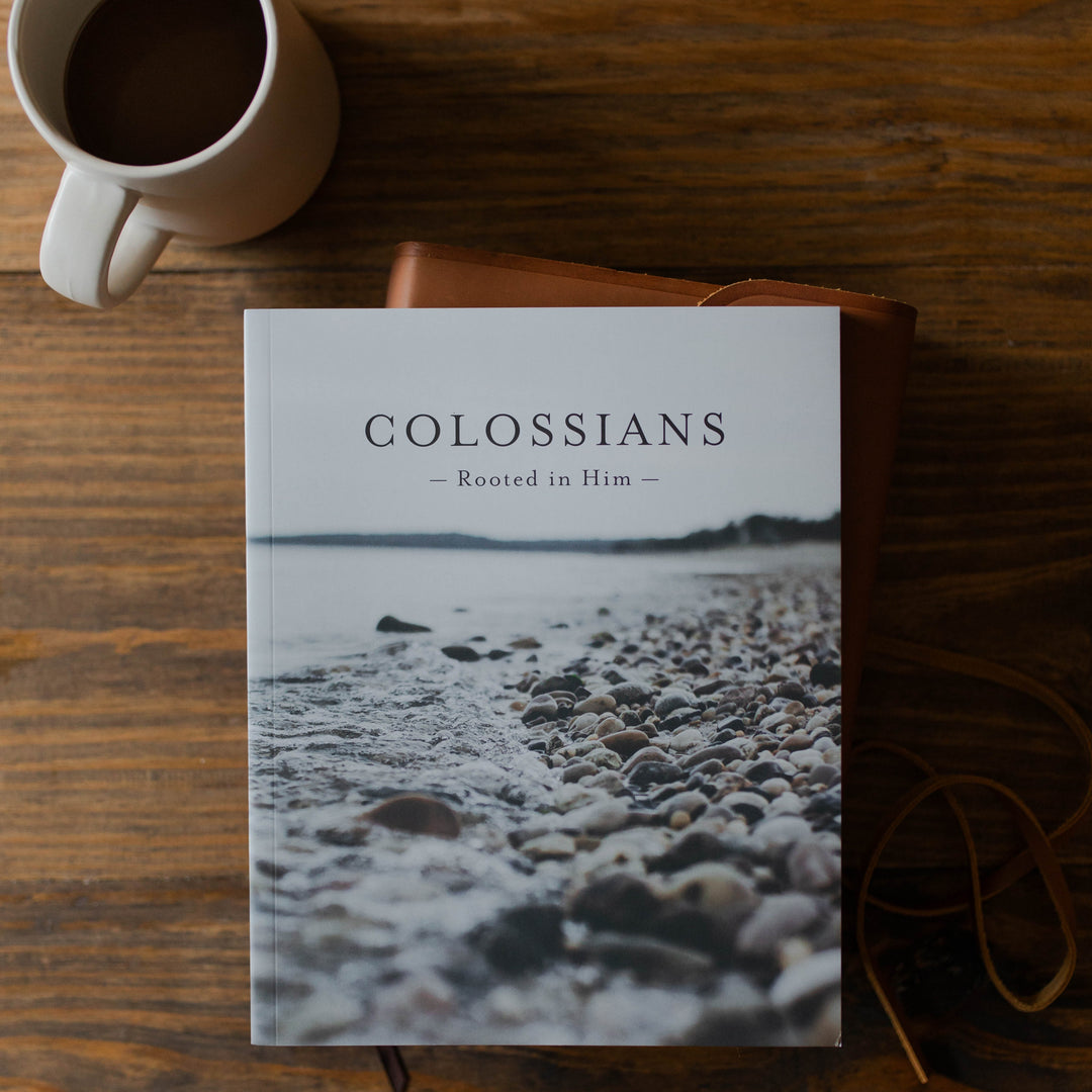 men's christian bible study on the book of colossians