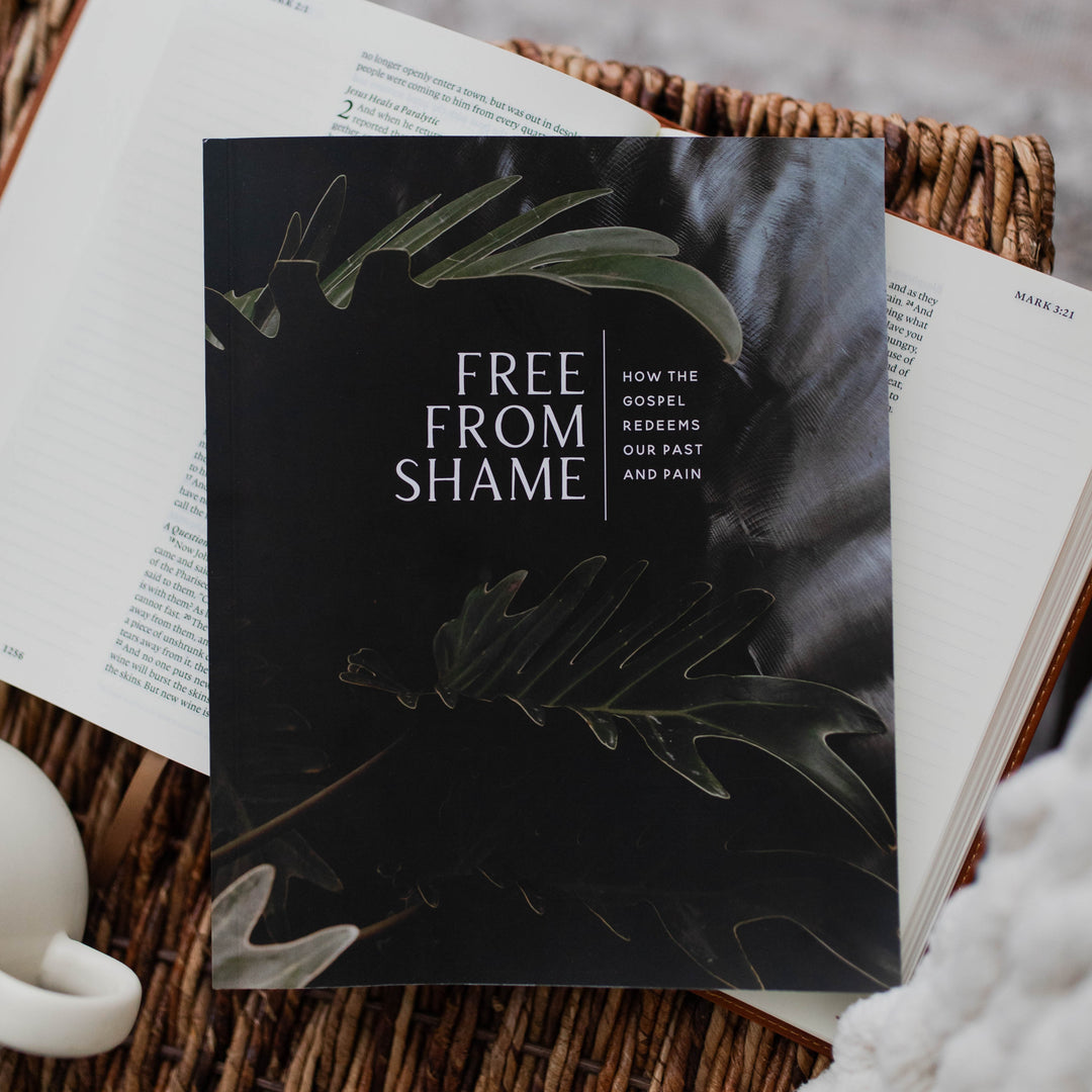 shame bible study for men