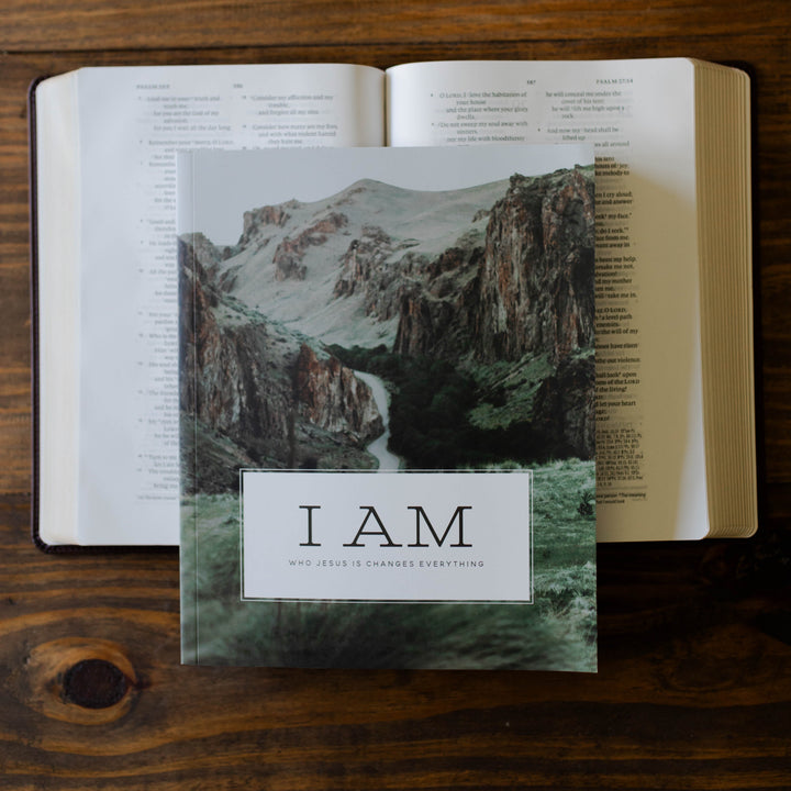 I Am Men's Bible Study on I Am Statements of Jesus