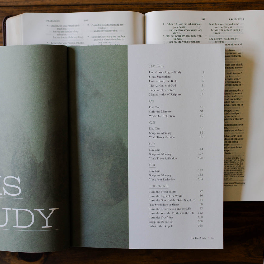 Table of Contents in men's Christian Bible study on I Am statements of Jesus