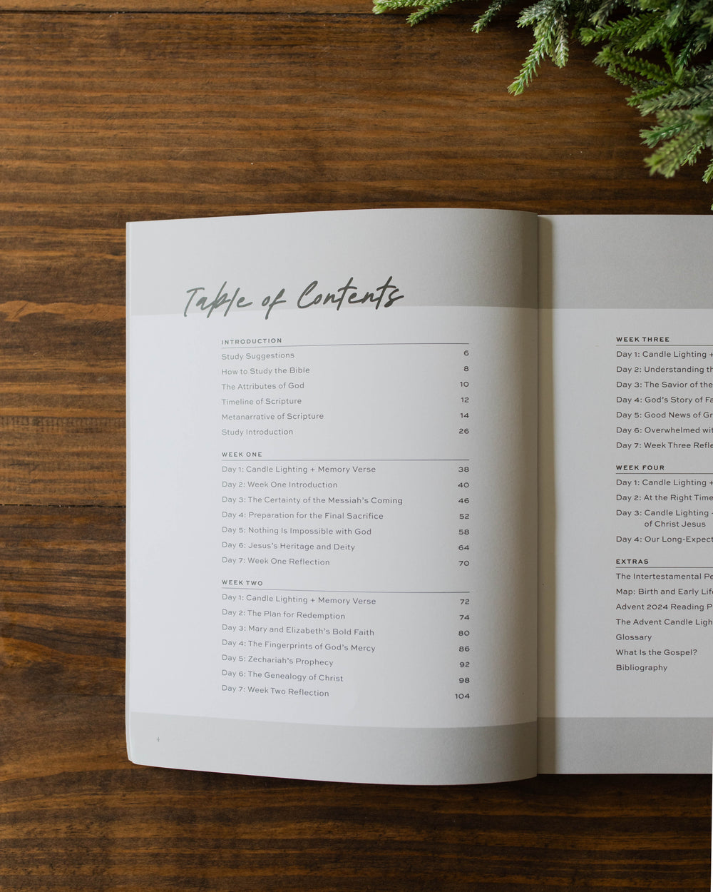 Table of Contents for Men's Advent Study