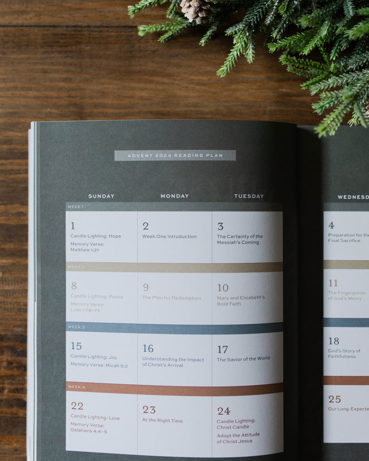 Men's Advent reading plan page