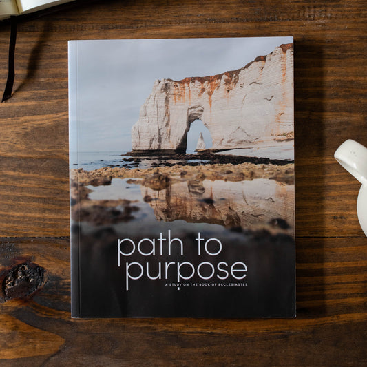 Path to Purpose: A Study on the Book of Ecclesiastes - Men | TDGC