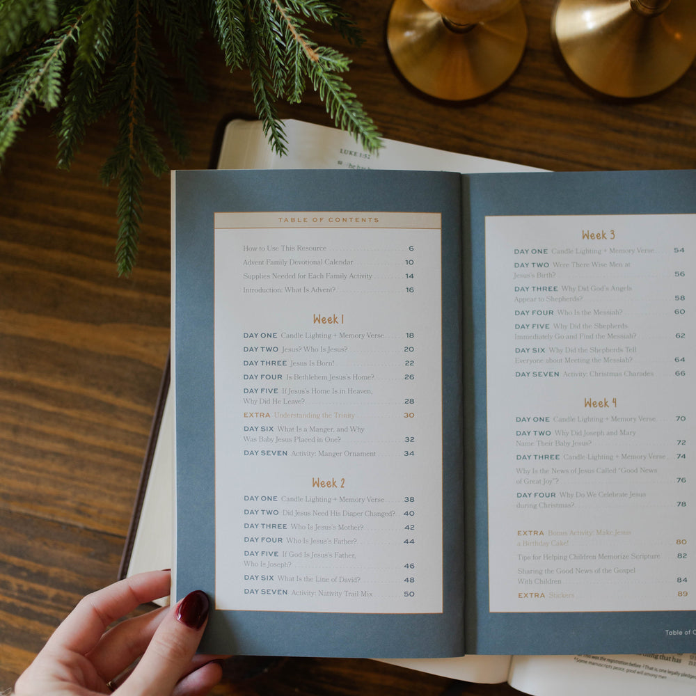 Table of Contents for More Than a Manger