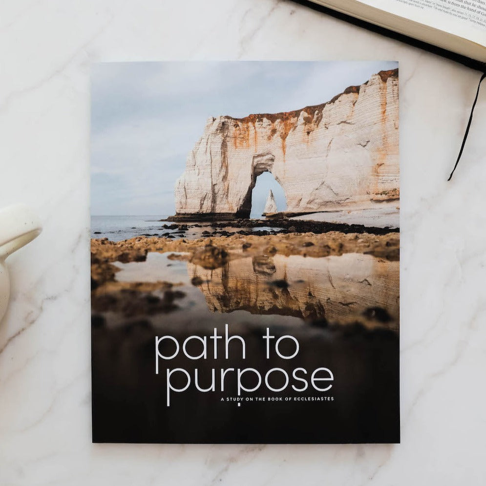 Path to Purpose | A Study on the Book of Ecclesiastes - Men