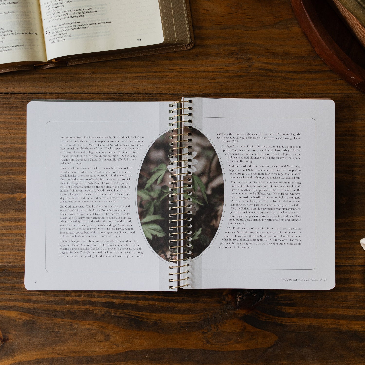 Peaks and Valleys Spiral Study opened to the a reading for week 2 Day 4 next to a dark brown wooden tray and an open bible on a brown wooden table