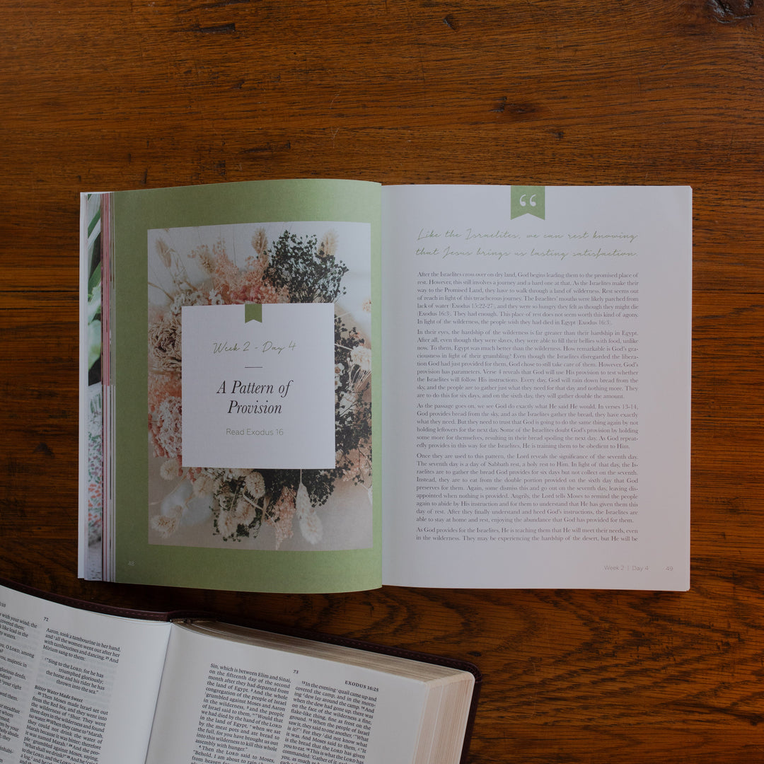 The Rest Matte study opened to the pattern of provision page on a wooden desk near an open bible